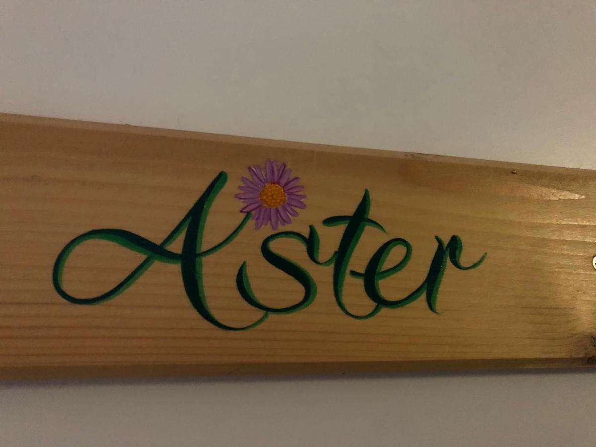Aster Residence Laureane 1Er Etage Cauterets Buitenkant foto